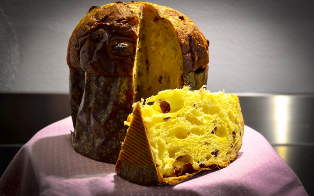 Gianluca Fonsato: Il panettone