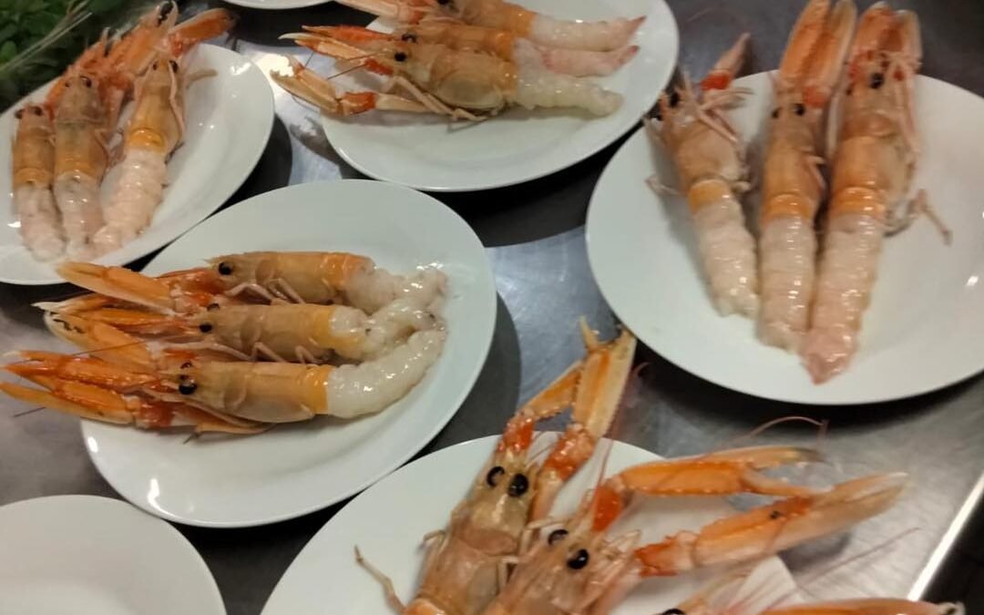 Sebastiano Molani: Il crudo di pesce e le sue applicazioni